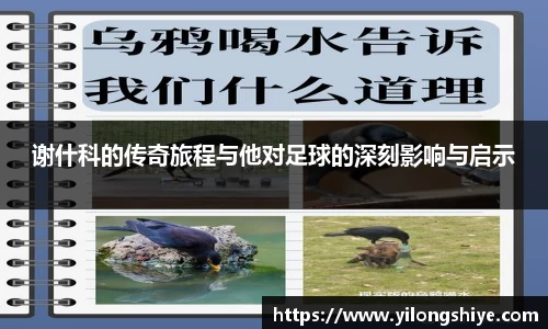 欧博abg官网